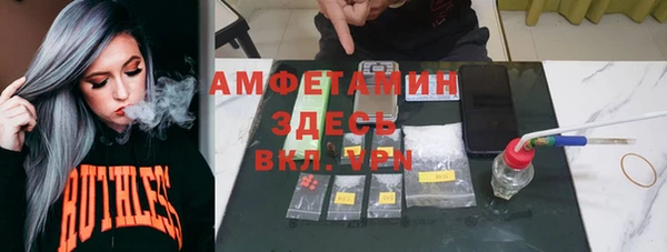 стаф Абаза