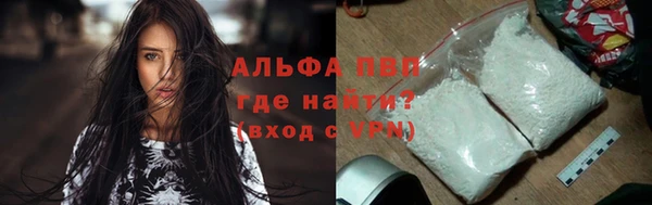стаф Абаза