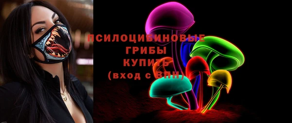 стаф Абаза