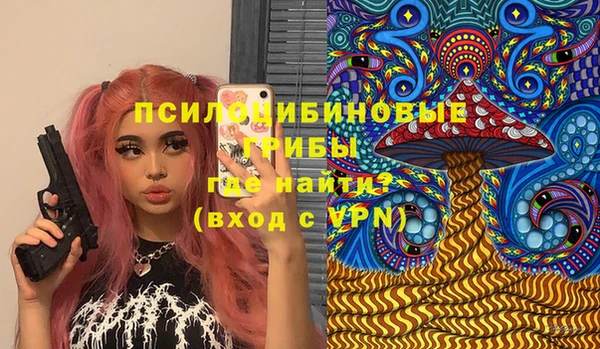 стаф Абаза